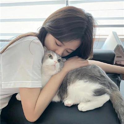 海底小纵队 第八季